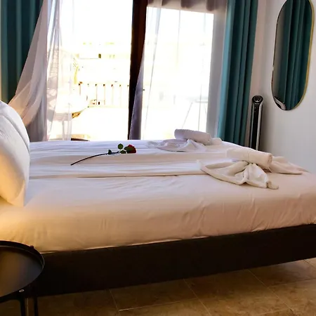 Ocean Park Americas * 아데제